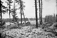 Uma foto no nível do solo em Kollaa, com árvores em primeiro plano, um campo coberto de neve no meio e florestas densas, bem como um tanque soviético à distância.