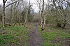 Lambridge Wood 1.JPG