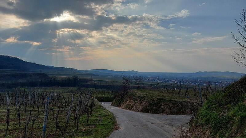 File:Landappbw 348395 1817 Am Kräuter- und Obstwanderweg Amoltern.jpg