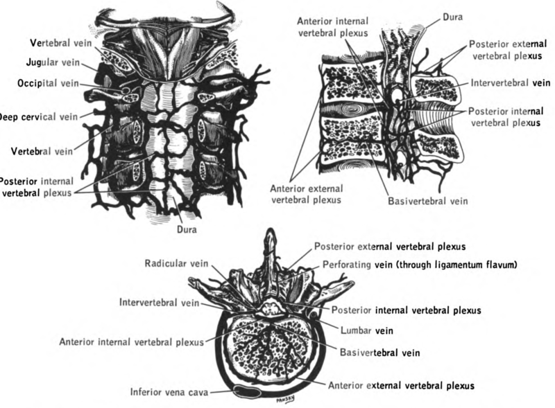 File:Lawrence 1960 4.22.png