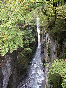 Le giffre aux gorges des Tines.jpg