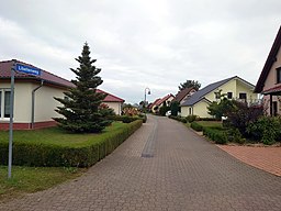 Libellenweg Torgau