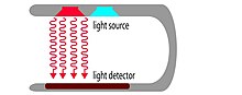 Lighting Diagram of Pulse Oximeter.jpg