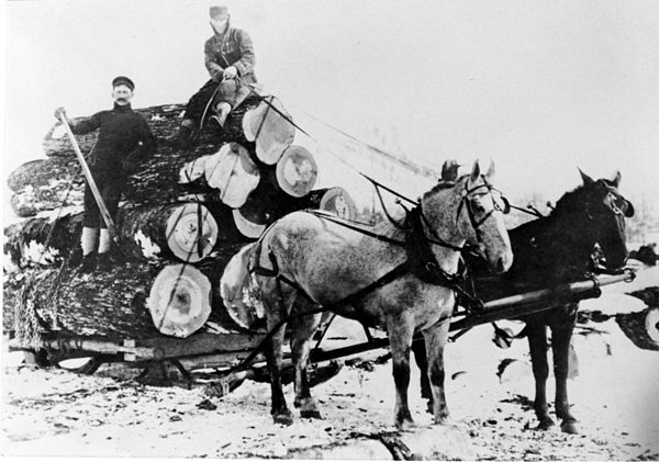 Logging in the Ochoco Mountains, c. 1900