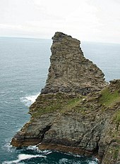 Sea bird colonies at Long Island near Boscastle Long Island sea bird colonies - geograph.org.uk - 443258.jpg