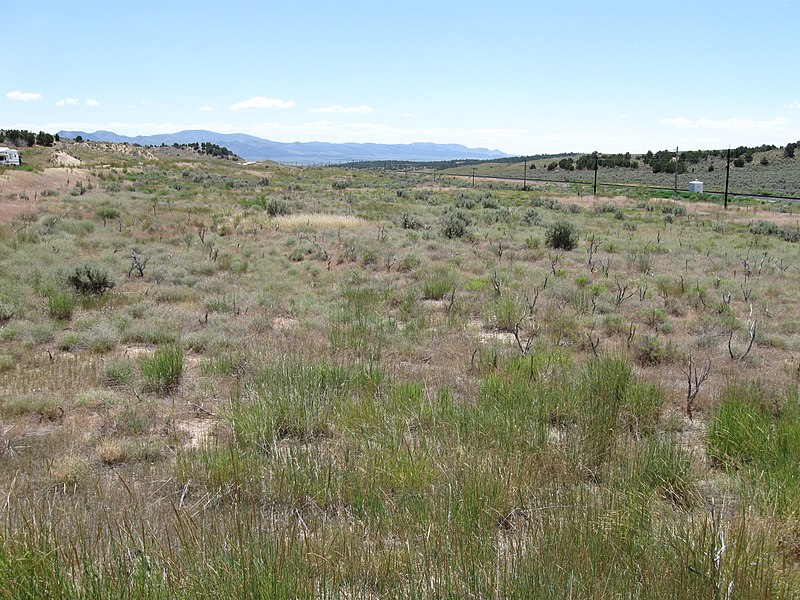 File:Looking Southeastward from side of Dirt Road - panoramio.jpg