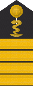 Hombrera para usuarios de uniformes de la marina (farmacéuticos).