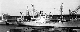 MS Pionýr-Constanza1961.jpg