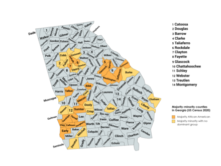 Majority-minority counties