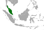 Malayan Pygmy Shrew area.png