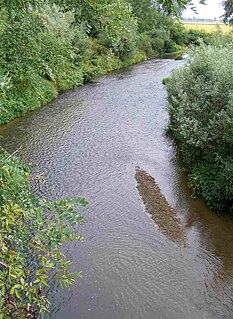 Marchiazza river in Italy