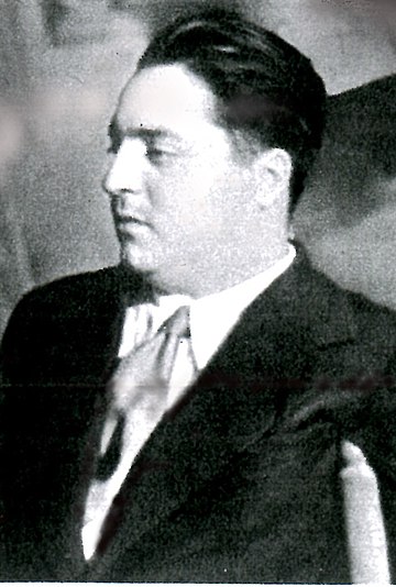 Raffaello Matarazzo