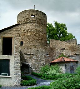 MeisenheimBurgruine