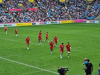 <span class="mw-page-title-main">Wales national rugby sevens team</span> Rugby team