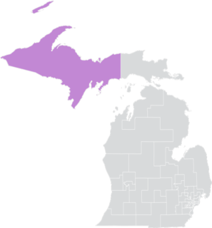 <span class="mw-page-title-main">Michigan's 38th Senate district</span> American legislative district