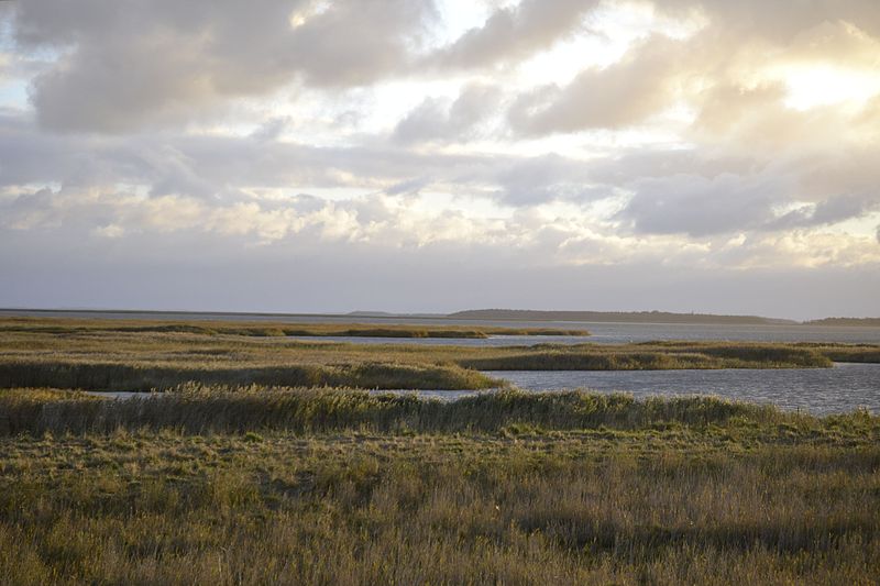 File:Morgendliche Boddenlandschaft.JPG