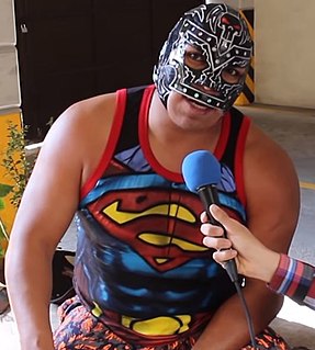 Mr. Niebla Mexican professional wrestler