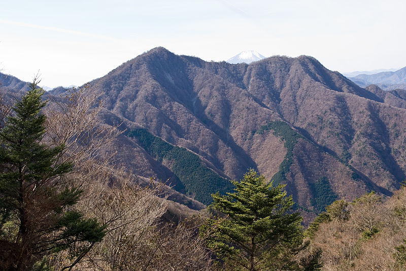 File:Mt.Hinokiboramaru 15.jpg