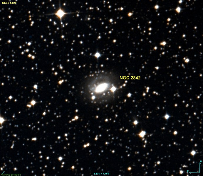 File:NGC 2842 DSS.jpg