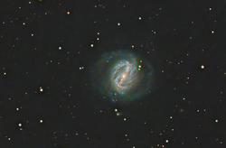 2024-07-15 NGC 6217 UGC 10470 Arp 185 Barred spiral galaxy in Ursa Minor