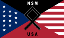 National socialist movement new flag.png