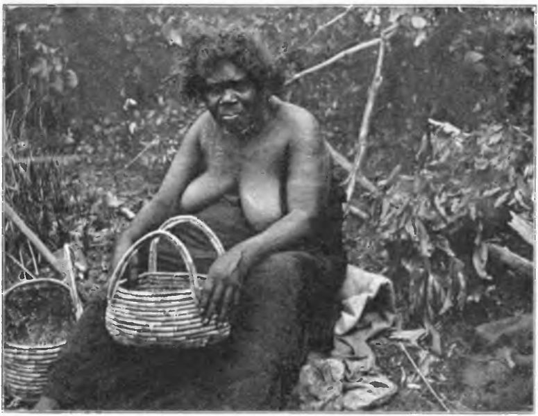 File:Native tribes of South-East Australia Fig 7 - A Kurnai woman.jpg