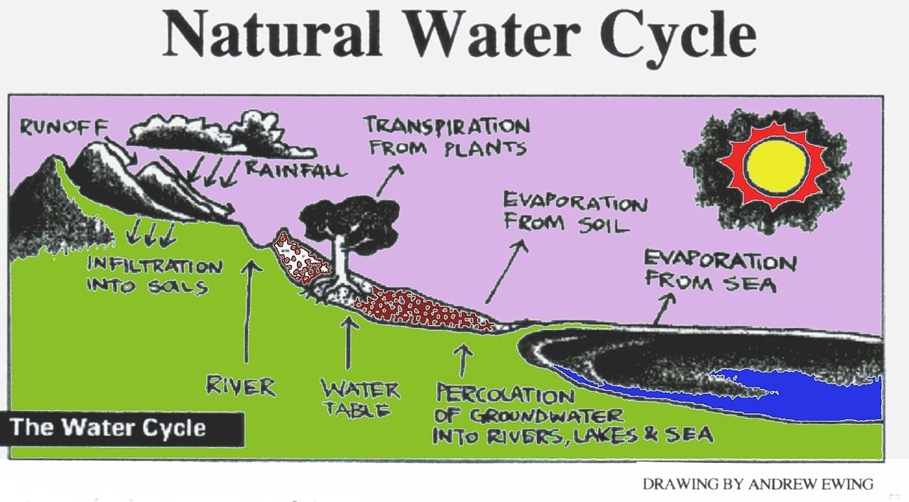 Water cycle in nature – told, drawn, and explained by 5,3 Hillel. – The  Good Enough Studio