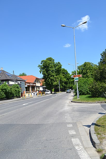 Ako do Wilsonovo Nábrežie hromadnou dopravou - O mieste