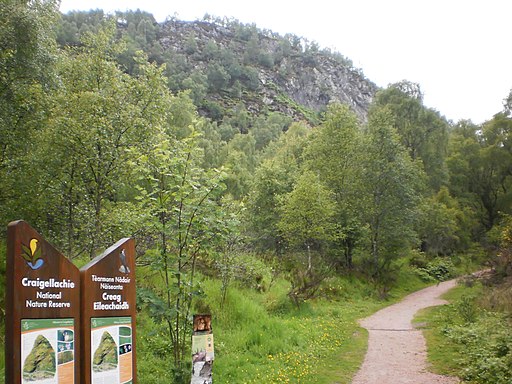 Noticeboard – Craigellachie National Nature Reserve - geograph.org.uk - 2500009