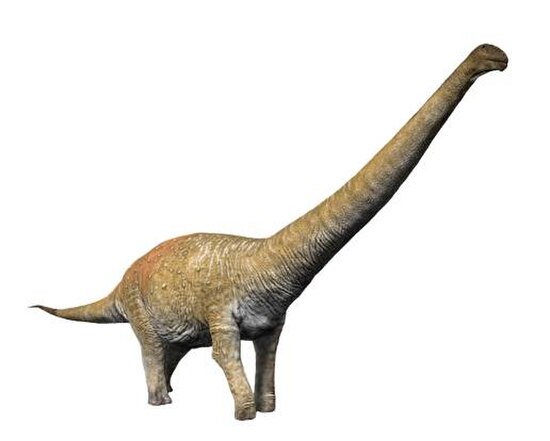 Reconstruction of Notocolossus gonzalesparejasi