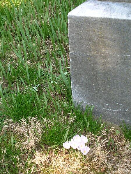 File:Oak Hill Cemetery (2895662645).jpg