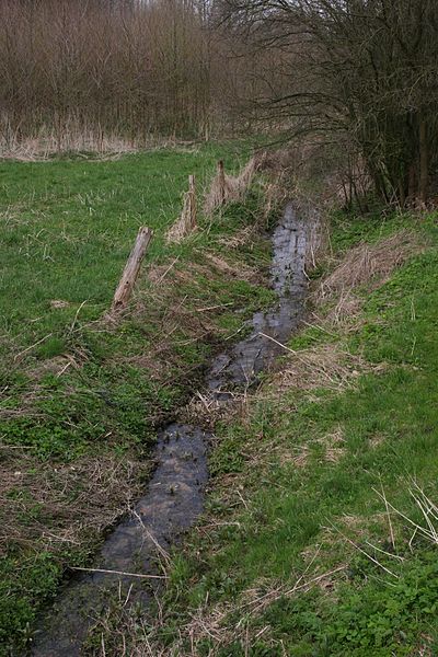 File:Oberhaaren nette quellgebiet 01.jpg