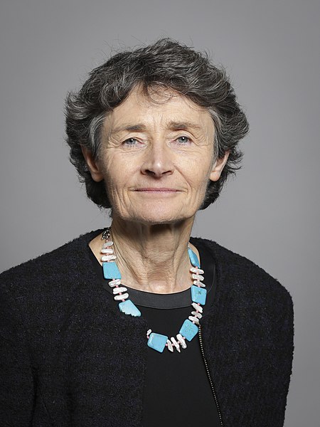 File:Official portrait of Baroness Morris of Yardley crop 2, 2019.jpg