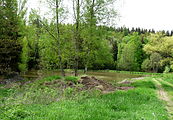 Čeština: Nejvýchodnější z rybníků u vsi Oldřiš v okrese Jindřichův Hradec, Jihočeský kraj. English: Easternmost pond at the village of Oldřiš, Jindřichův Hradec District, South Bohemia, Czech Republic, part of Blažejov.