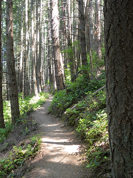 File:On the Pacific Northwest Trail.jpg