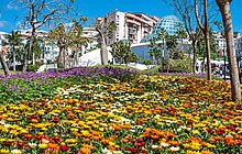 tourist office estepona