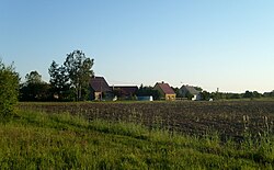 Fields in Osienic