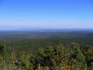 Ouachita National Forest American forest