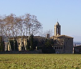 Púbol Baix Empordà Catalunya (cultivée) .JPG