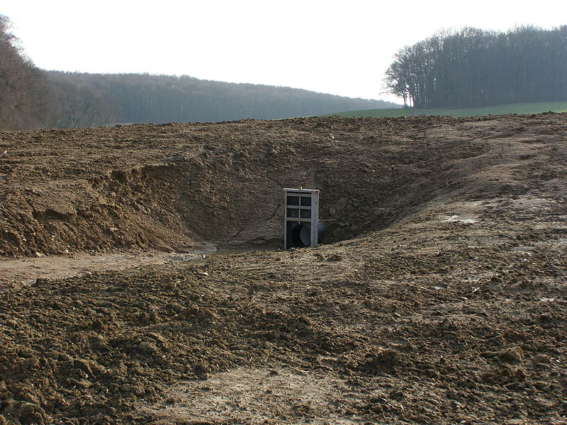 File:P2252186 duiker aarden dam Gerardushoeve.JPG