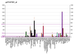 PBB GE SFRP2 gnf1h07261, fs.png'de