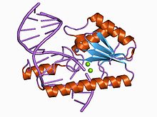 PDB 1cw0 EBI.jpg