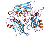 PDB 1mxb EBI.jpg 