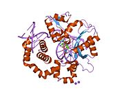 PDB 2fmp EBI.jpg