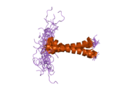 2j5d: ساختار دومِـین تراغشایی پروتئین BNIP3 در سلول دوتایی چربی، با استفاده از رزونانس مغناطیسی هسته‌ای