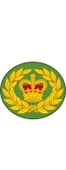 File:PNGDF Land OR-08.svg