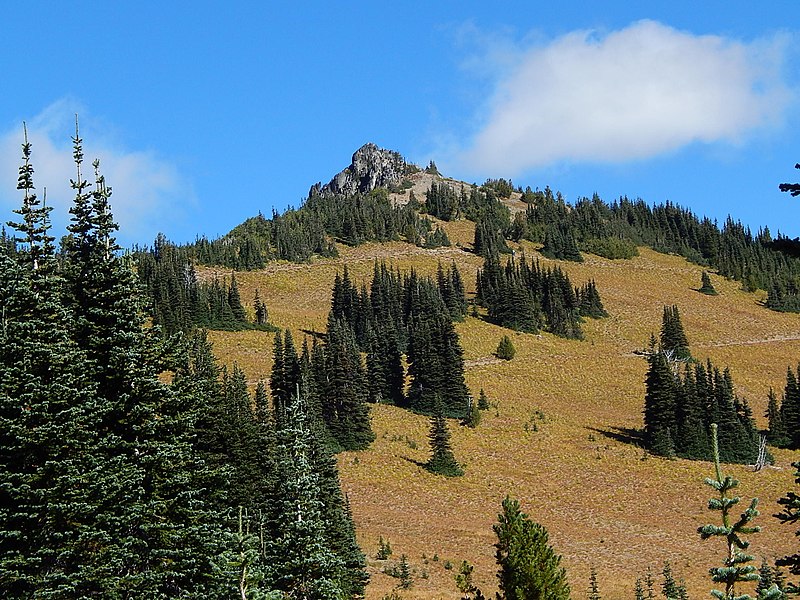 File:Peak 6951 on Sourdough Ridge.jpg