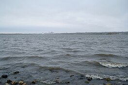 Peoria Lake Cooper Park South 20231027 0037.jpg