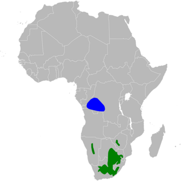 File:Petrochelidon spilodera distribution map, sans legend.png