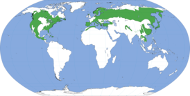 Карта ареала вида